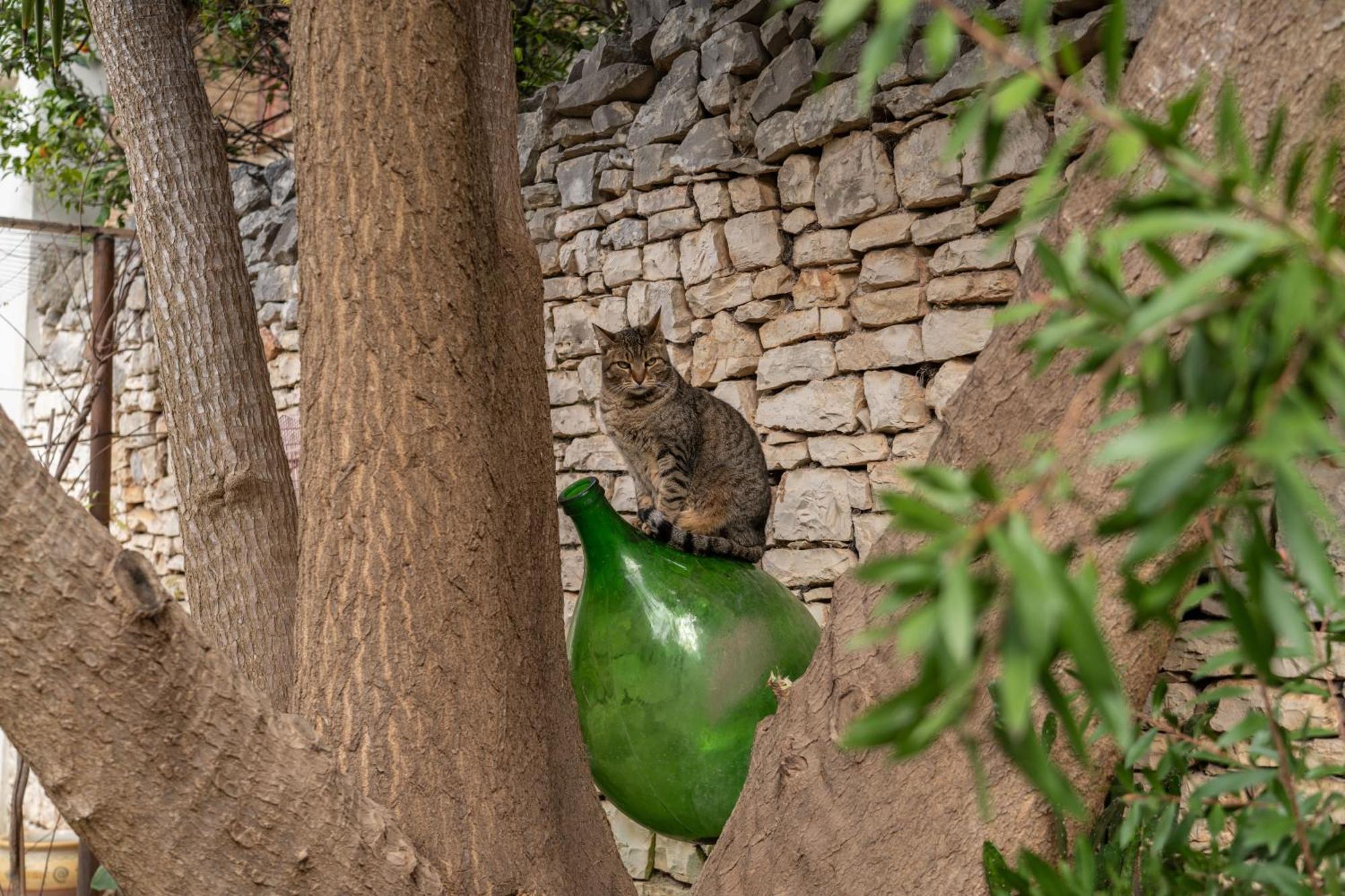 Casa Vacanze Alisei Terlizzi Esterno foto